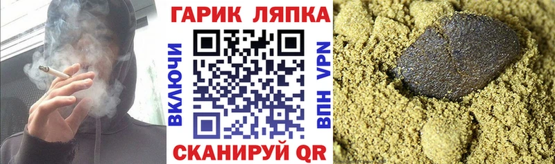 Купить где  Северская  ГАШ гашик 