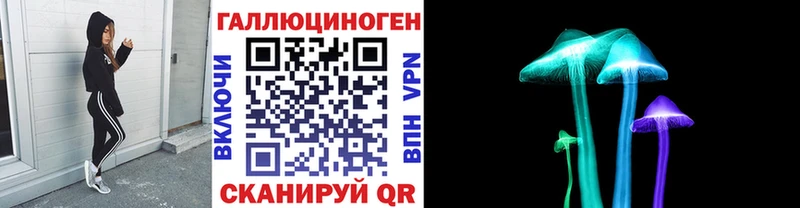 Купить где  Северская  Псилоцибиновые грибы MAGIC MUSHROOMS 