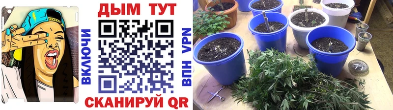 МАРИХУАНА тримм  Купить где  Северская 